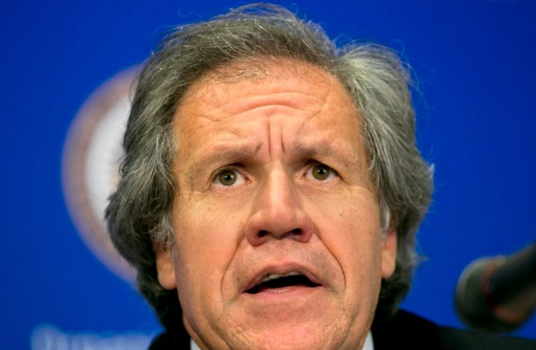 Jefe de la OEA hizo 34 viajes con empleada que era su pareja