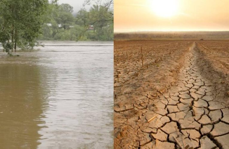 Los desastres que traerá el fenómeno de El Niño este año, el más dañino de la historia