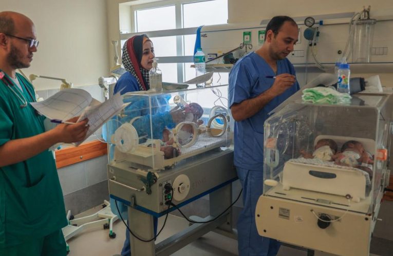 Egipto traslada a 28 bebés prematuros evacuados de Gaza a diversos hospitales del país