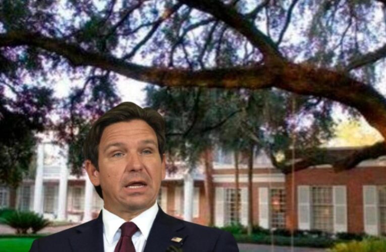 Se filtró cómo es la mansión de Ron DeSantis en Florida y nadie puede creer esto que tiene: generó polémica